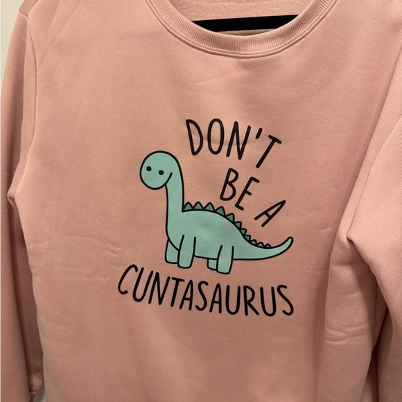 Women’s Medium Don’t Be A C*ntasaurus Pullover Sweater in pink NWOT - Picture 5 of 8